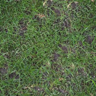 Seamless Grass 0009